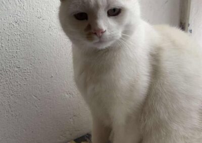 Max, Mühlbachl (12/2025)