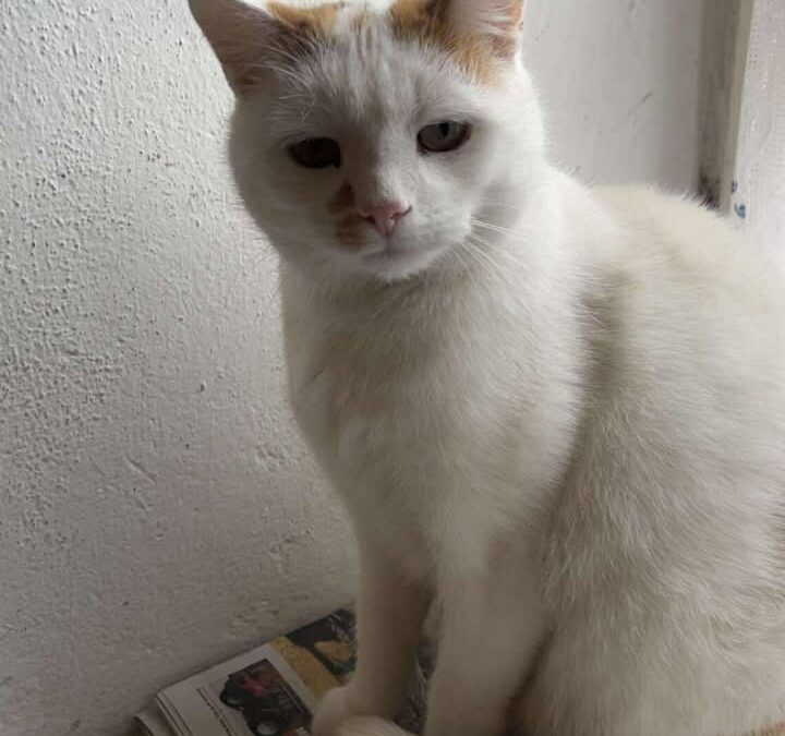 Max, Mühlbachl (12/2025)