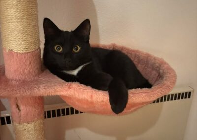 Lilly, Reith i. Alpbachtal (12/2025)