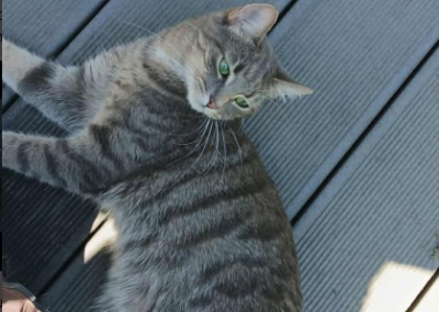 Lilly, Sautens  (12/2025)