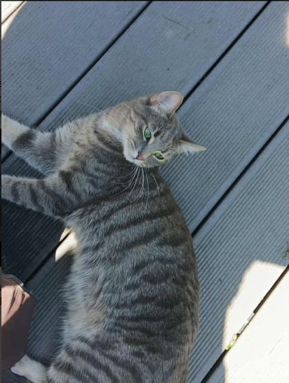 Lilly, Sautens  (12/2025)