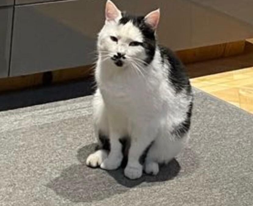 Maxi, Thiersee  (12/2025)