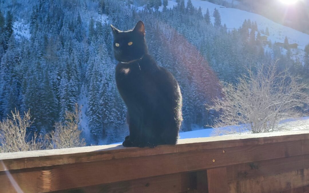 Toni, Alpbach  (01/2026)