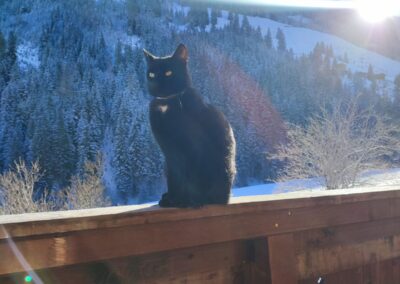 Toni, Alpbach  (01/2026)