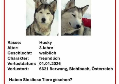 Ylva, Berwang  (01/2026)