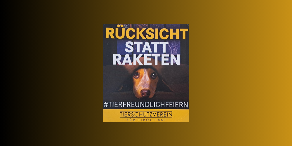 Offener Brief an Bundesminister Karner: Silvesterfeuerwerk – warum Eigenverantwortung nicht ausreicht