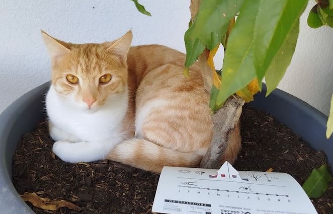 Tibbis, Breitenbach(01/2026)