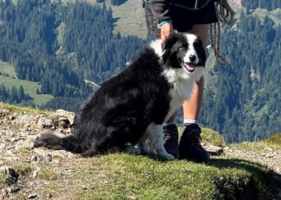 Penny, Breitenbach  (01/2026)