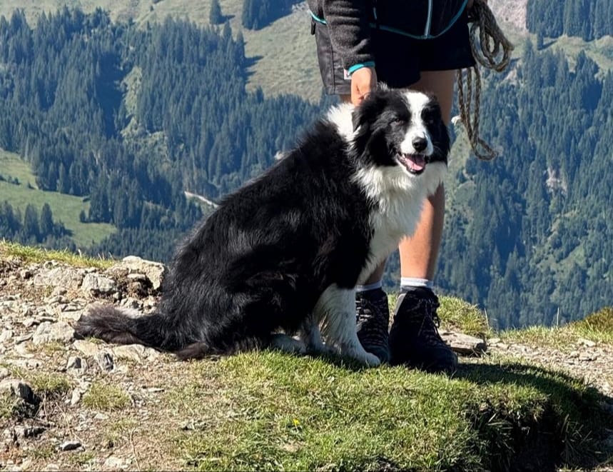 Penny, Breitenbach  (01/2026)