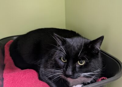 Fundkater, Innsbruck (01/2026)