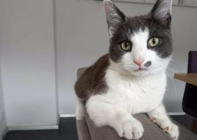 Speedy, Kramsach (01/2026)