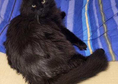 Leo, Kufstein  (01/2026)