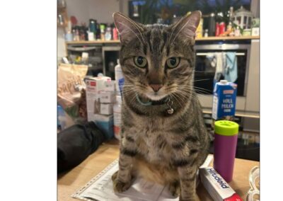 Raffzahn, Langkampfen(01/2026)