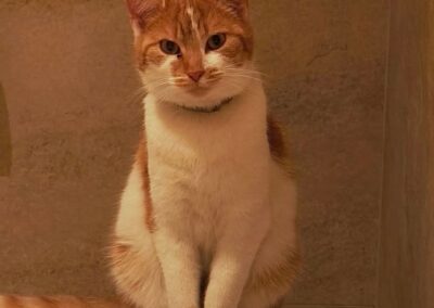 Fili, Mieming  (01/2026)