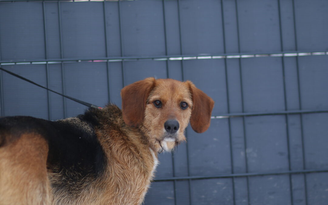 Murphy