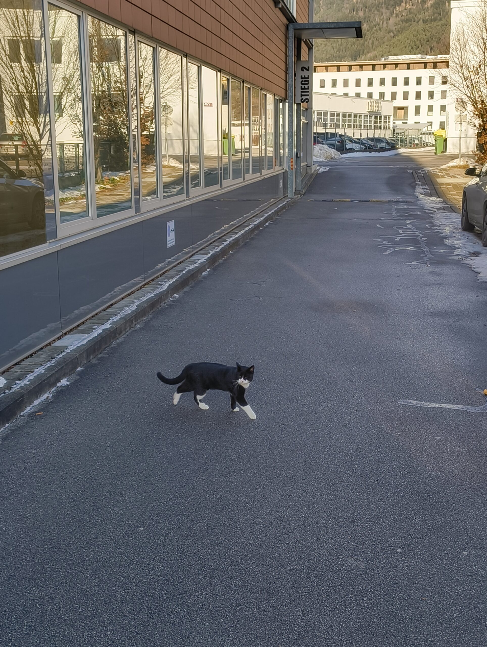 Sichtung_IBK_Mitterweg