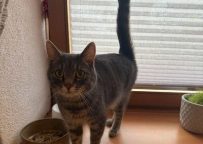 Carlos, Wattens (01/2026)