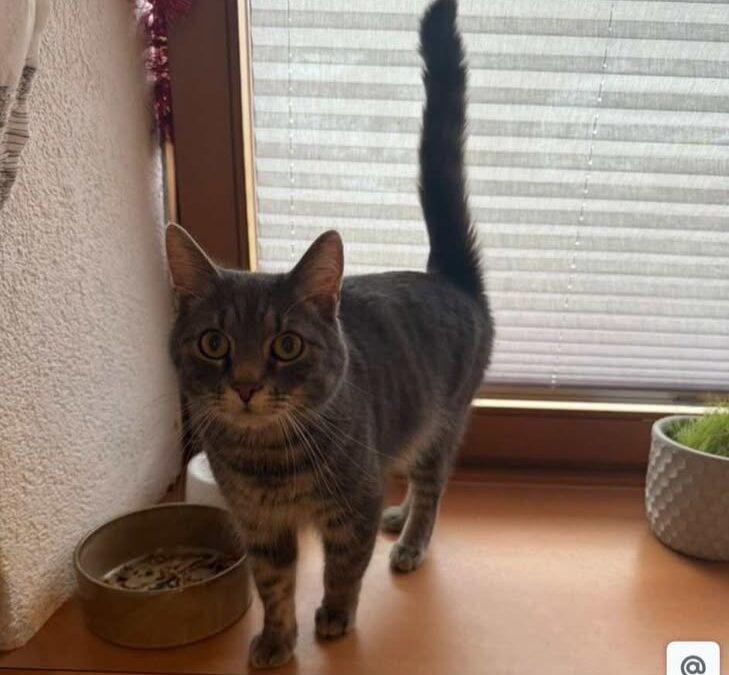 Carlos, Wattens (01/2026)