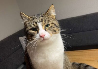 Finn, Weer (01/2026)