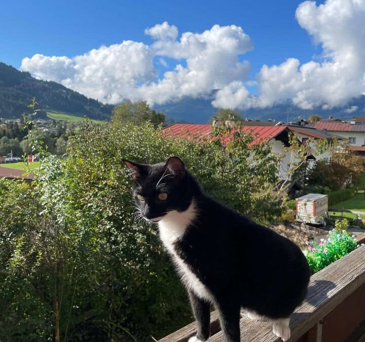 Neptun, Westendorf  (01/2026)