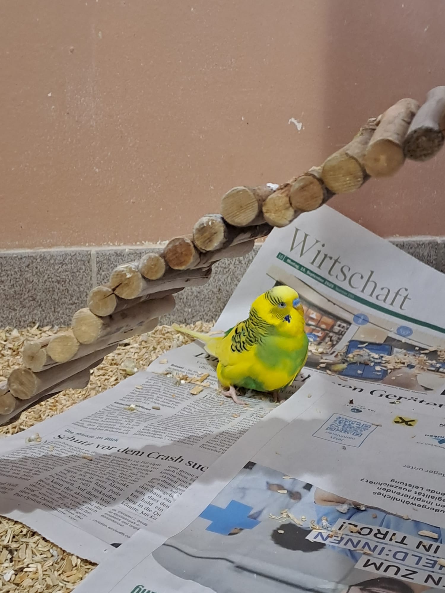 WhatsApp Image 2026-01-27 at 14.03.31 (1)