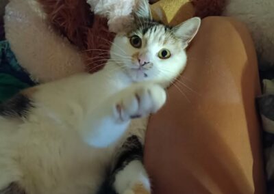 Wilma, Axams  (02/2026)