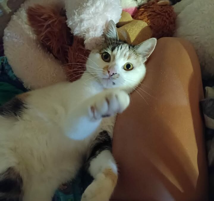 Wilma, Axams  (02/2026)