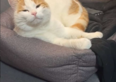 Mia, Hart im Zillertal  (02/2026)