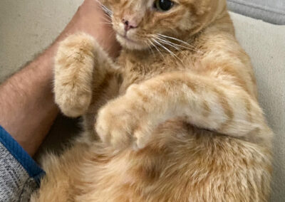 Eddy, Innsbruck  (02/2026)