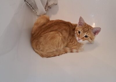 Luxi, Innsbruck(02/2026)