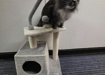 Tara, Innsbruck  (02/2026)