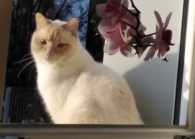 Flocki, Innsbruck (02/2026)