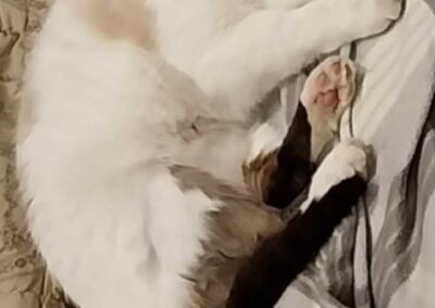 Jackson, Kirchberg  (02/2026)