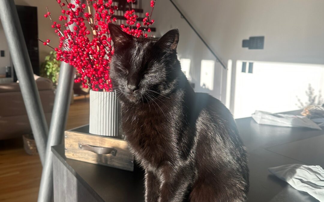 Banksy, Kolsass  (02/2026)