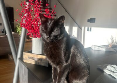 Banksy, Kolsass  (02/2026)