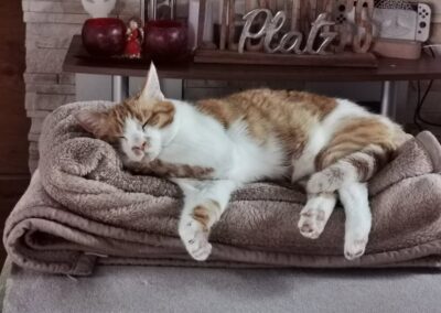 Max, Kufstein  (02/2026)