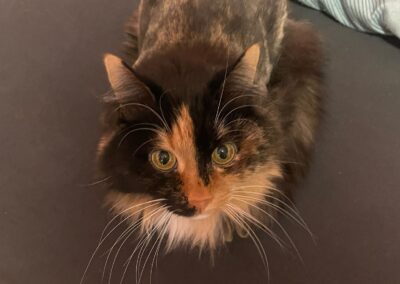 Thai, Uderns  (02/2026)