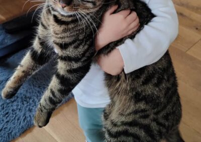 Loui, Vomp  (02/2026)