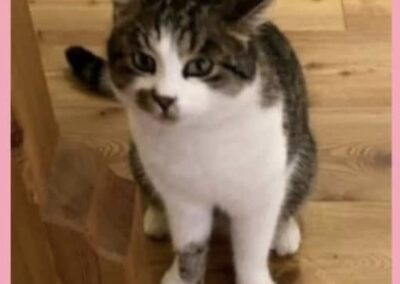 Rudi, Alpbach  (03/2026)