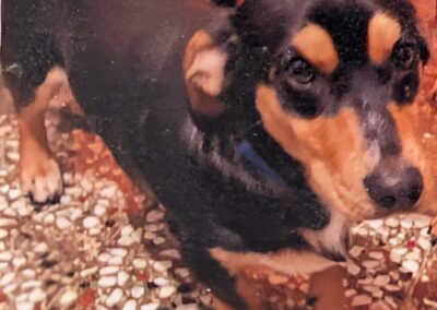 Freddy, Bad Häring  (03/2026)