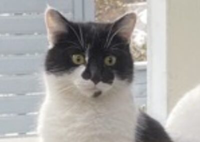 Kira, Brixlegg  (03/2026)