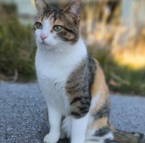 Luna, Ebbs  (03/2026)