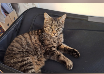 Milo, Kirchbichl  (03/2026)