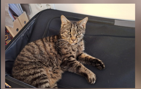 Milo, Kirchbichl  (03/2026)