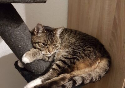 Kitty, Landeck  (03/2026)