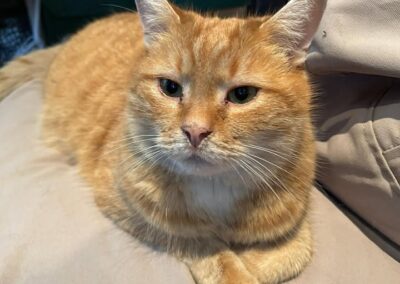 Chipo, Pertisau  (03/2026)