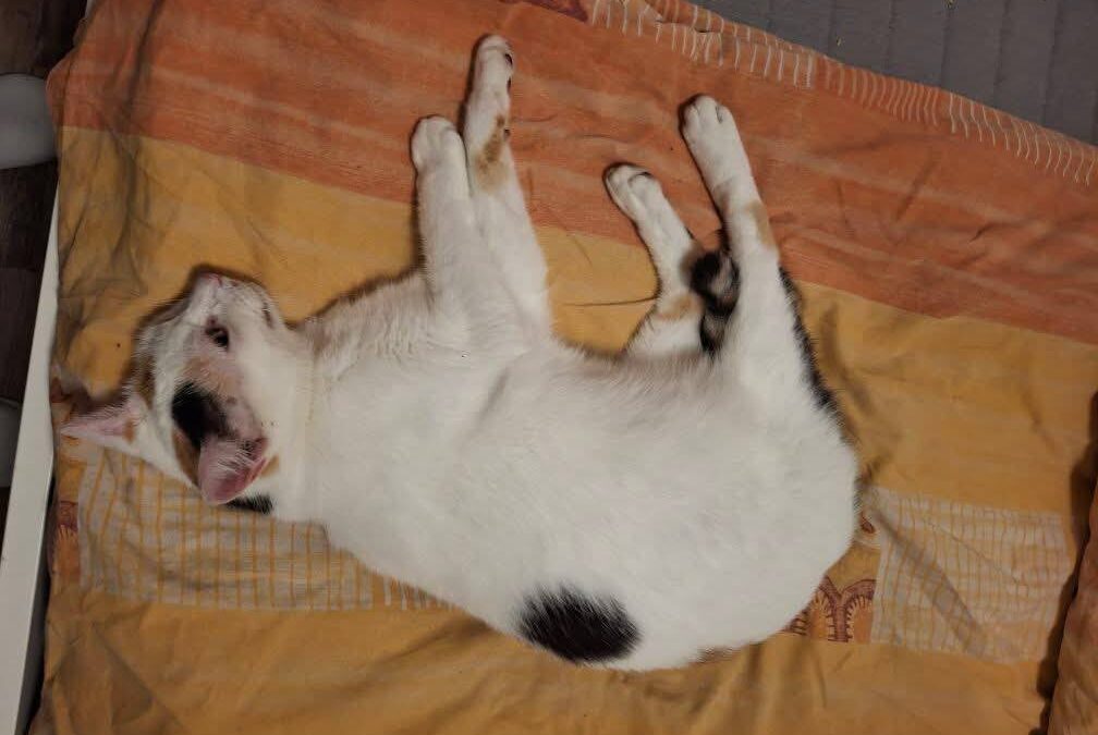 Minky, Pfaffenhofen  (03/2026)