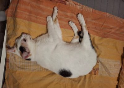 Minky, Pfaffenhofen  (03/2026)