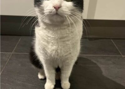 Nala, Telfs  (03/2026)