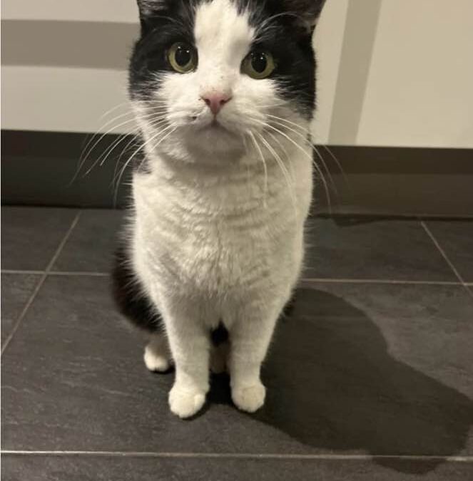 Nala, Telfs  (03/2026)